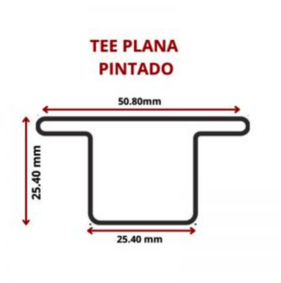 TEE PLANA PINTADA